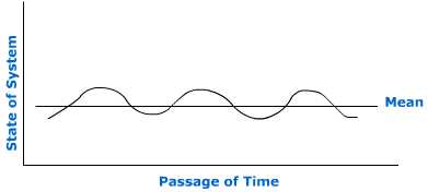 Steady State Equilibrium