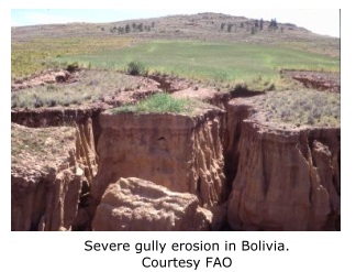 gully erosion in Bolivia