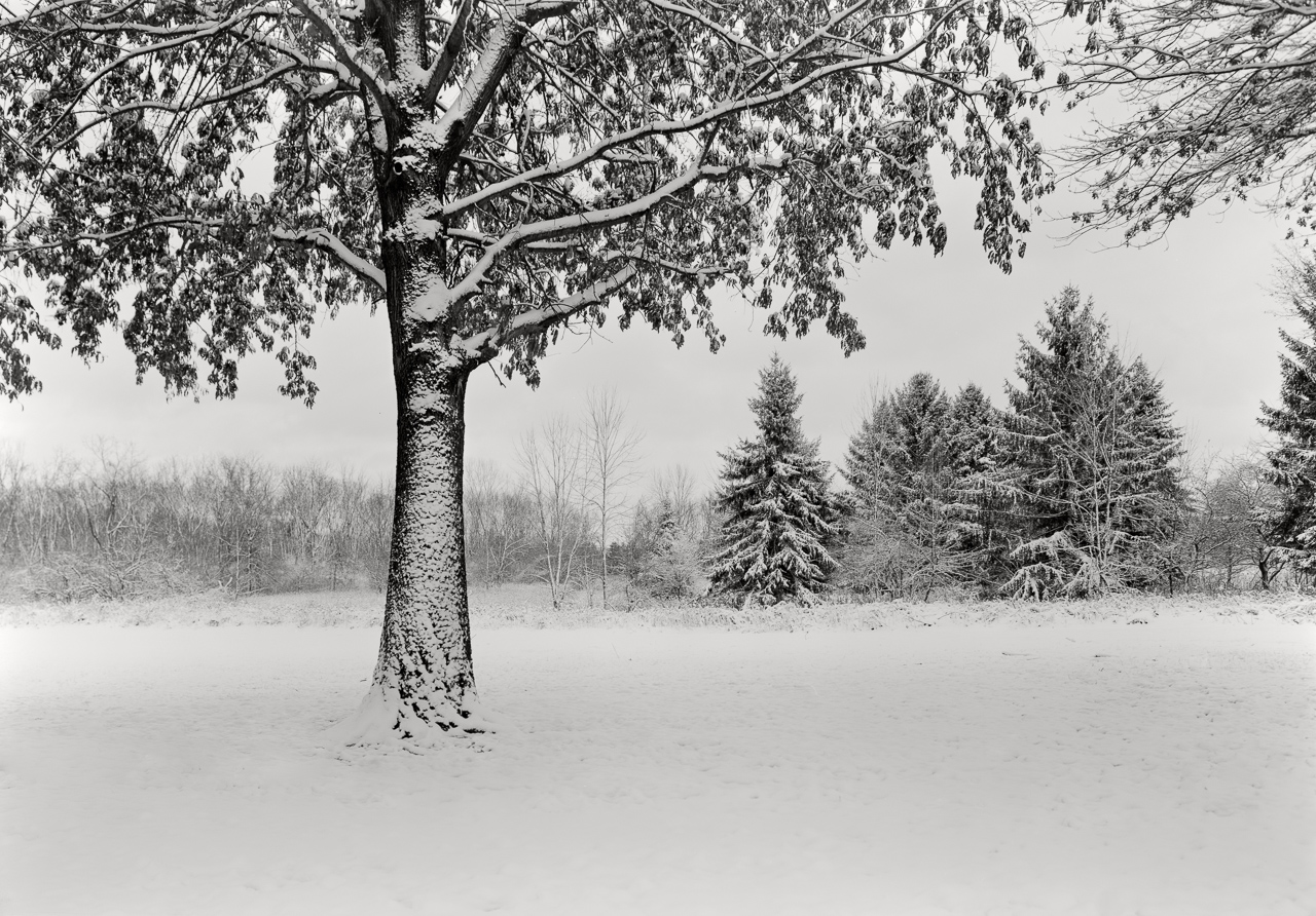 LHL_snow_sharon_woods-1.jpg
