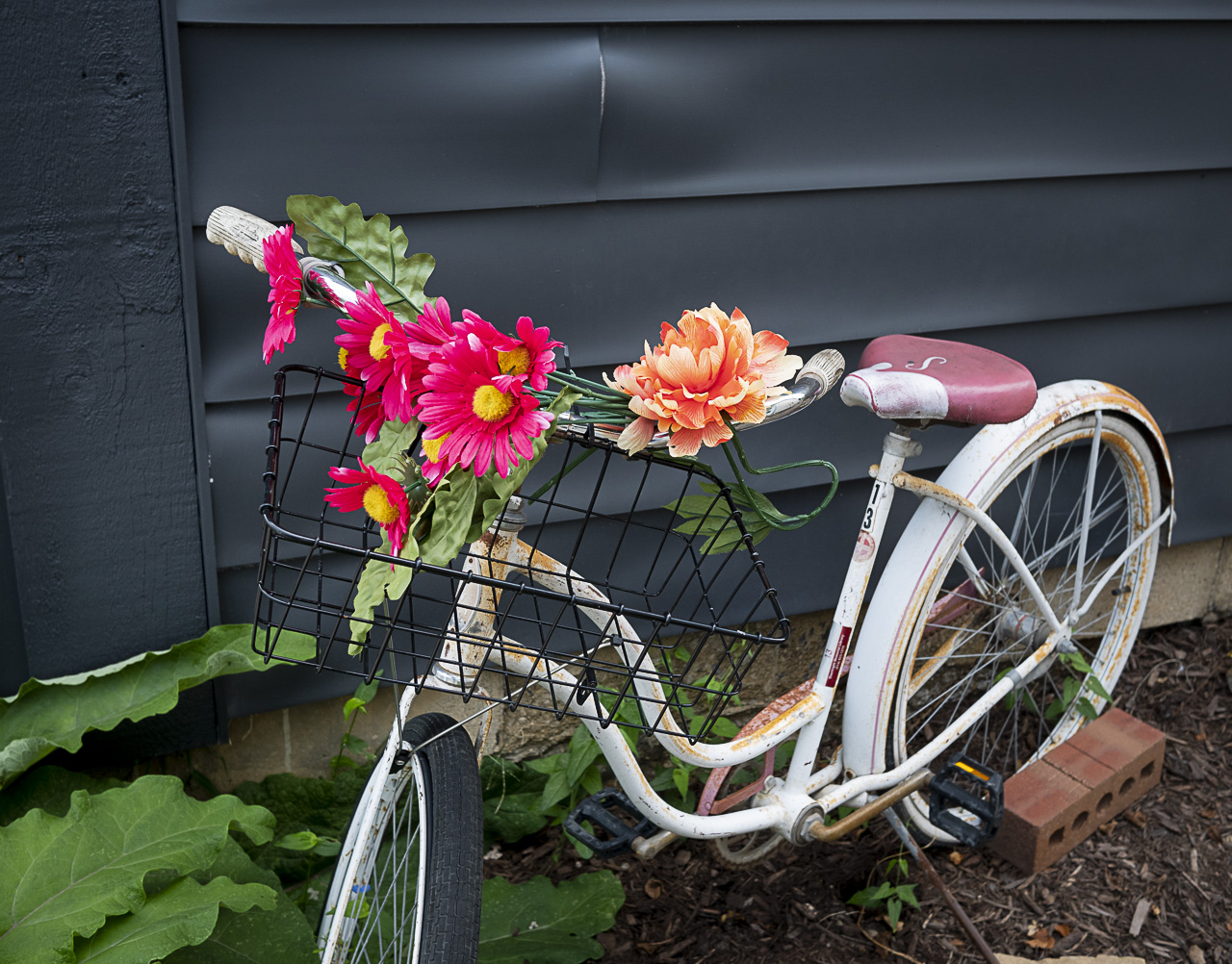 lhl_bicycle_flowers-1.jpg