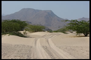 Desert Image
