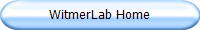 WitmerLab Home